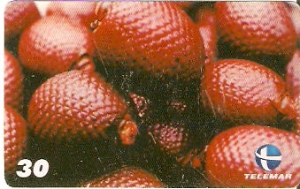 PI-198 - Buriti