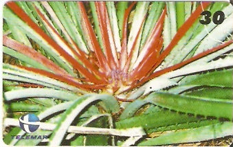 PI-205 - Croatá