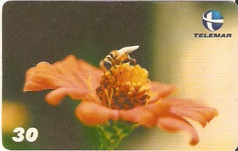 RN-093 - Primavera