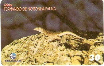 RN-214 - Fauna - 07/10