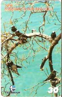 RN-215 - Fauna - 08/10