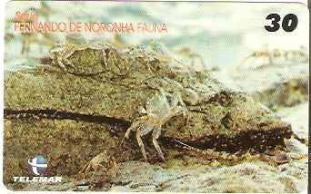 RN-217 - Fauna - 10/10