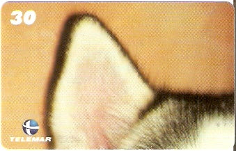 RN-227 - Husky - 2/6