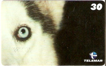 RN-228 - Husky - 3/6