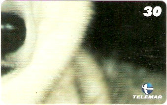 RN-230 - Husky - 5/6