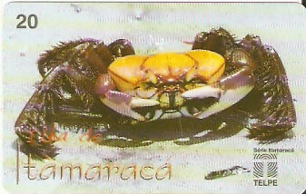 PE-101 - A Vida no Mangue