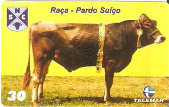 PE-697 - Raças Bovinas - 06/10