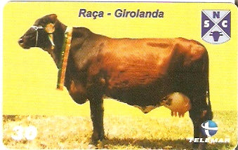 PE-699 - Raças Bovinas - 08/10
