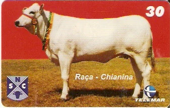 PE-701 - Raças Bovinas - 10/10