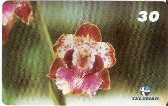 BA-161 - Orquídeas - 02/10