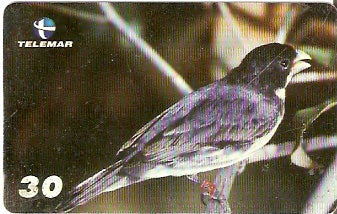 BA-195 - Aves - 02/20