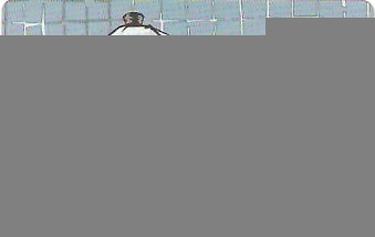 CTBC-T-0577 - Café - 6/6