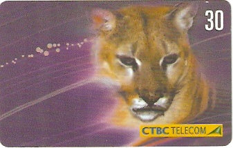 CTBC-T-0642 - Animais - 2/8