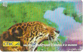 CTBC-T-0738 - Quem liga usa o 12 - 1/8