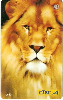 CTBC-T-0755 - Felinos - 1/5