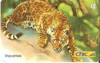 CTBC-T-0758 - Felinos - 4/5