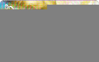 CTBC-T-0783 - Feliz Ano Novo - 5/6