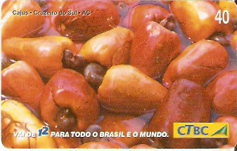 CTBC-T-0822 - Frutas do Brasil - 01/12
