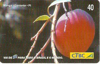 CTBC-T-0825 - Frutas do Brasil - 04/12