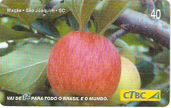 CTBC-T-0827 - Frutas do Brasil - 06/12