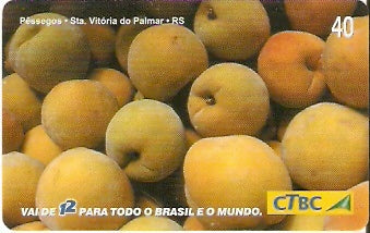 CTBC-T-0823 - Frutas do Brasil - 02/12
