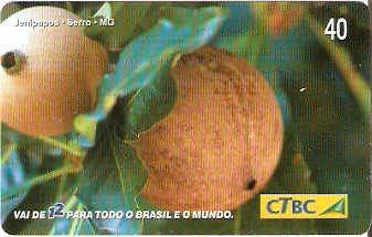 CTBC-T-0832 - Frutas do Brasil - 11/12