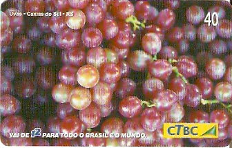 CTBC-T-0831 - Frutas do Brasil - 10/12