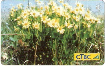CTBC-T-0788 - Flores do Cerrado - 3/8