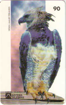 RJ-0177M - Aves - 03/10