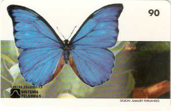 RJ-0178M - Borboletas - 02/10