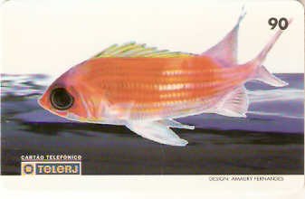 RJ-0179M - Peixes - 02/10