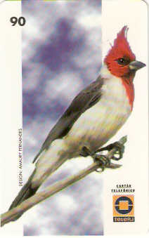 RJ-0181M - Aves - 02/10