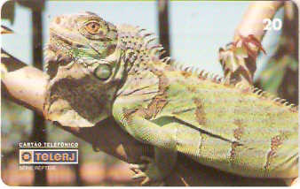 RJ-0213M - Répteis B1 - 1/4