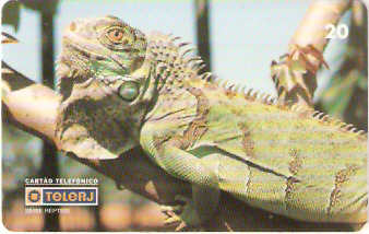 RJ-0214M - Répteis B2 - 1/4