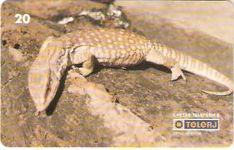 RJ-0215M - Répteis - 2/4