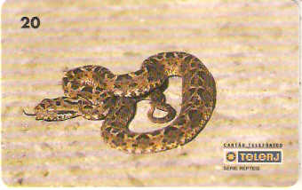 RJ-0216M - Répteis B1 - 3/4