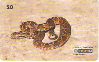 RJ-0217M - Répteis B2 - 3/4