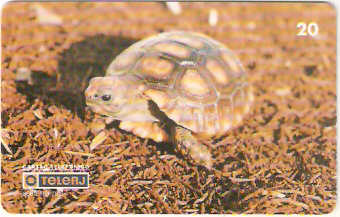 RJ-0218M - Répteis - 4/4