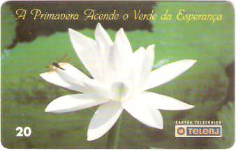 RJ-0393M - Primavera
