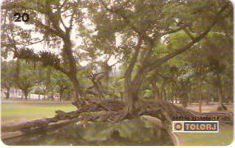 RJ-0445M - Quinta da Boa Vista - 05/10