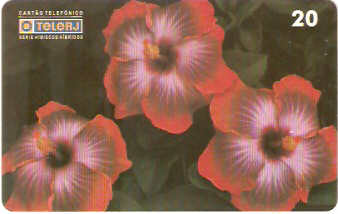 RJ-0451M - Hibiscus - 01/20