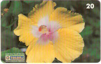 RJ-0453M - Hibiscus - 03/20