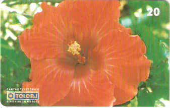 RJ-0454M - Hibiscus - 04/20