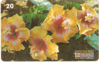 RJ-0455M - Hibiscus - 05/20