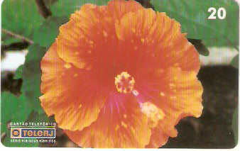 RJ-0456M - Hibiscus - 06/20