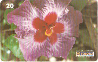 RJ-0459M - Hibiscus - 09/20