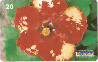 RJ-0460M - Hibiscus - 10/20