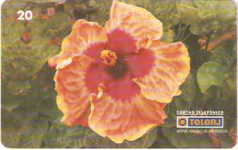 RJ-0463M - Hibiscus - 13/20