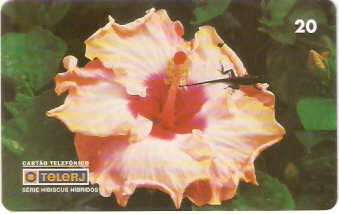 RJ-0464M - Hibiscus B1 - 14/20