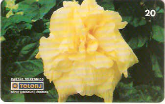 RJ-0466M - Hibiscus B1 - 15/20